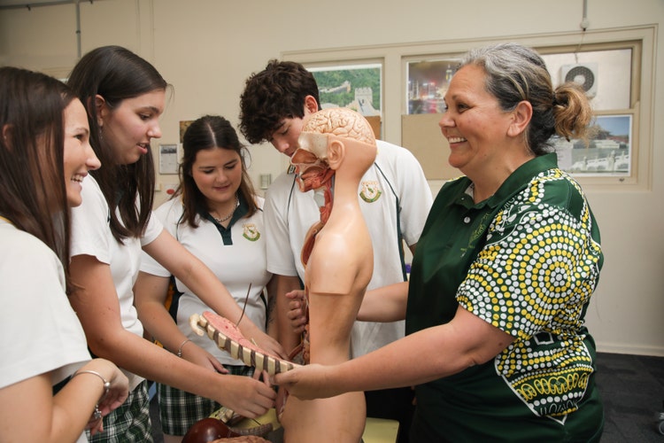Teacher and students studying human anatomy