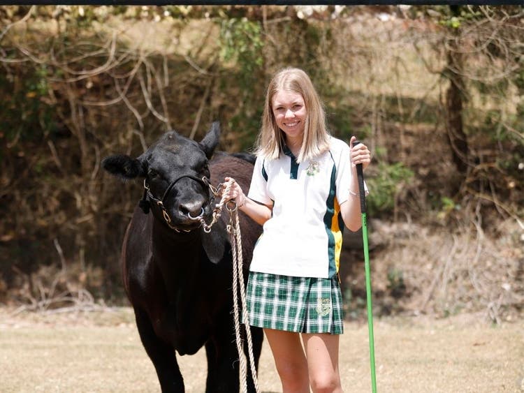 Student at the Ag Farm with a calf